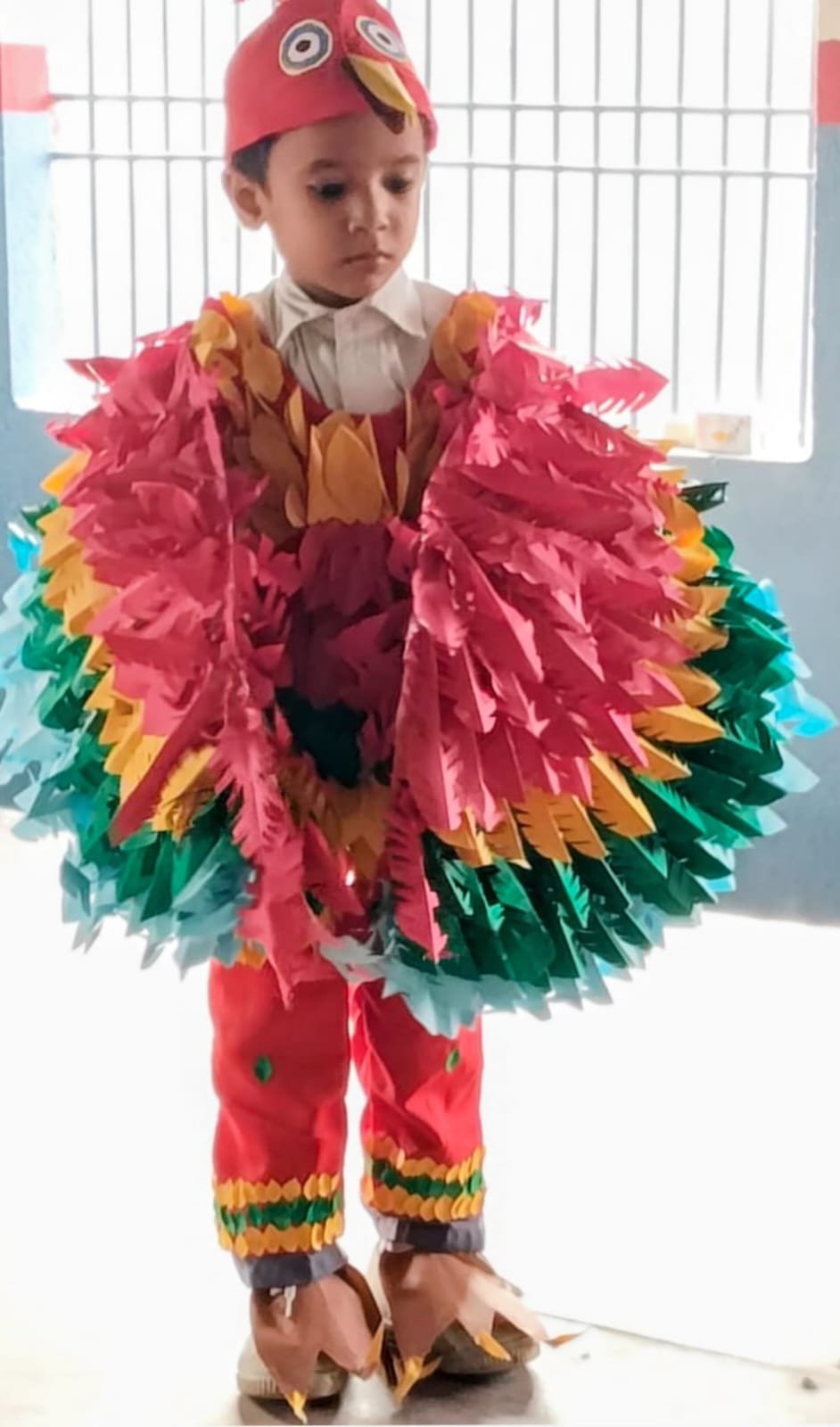 Child in colorful parrot costume